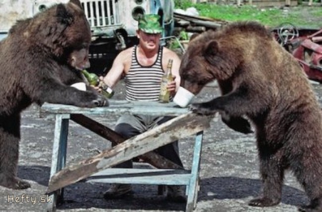 bear or beer?