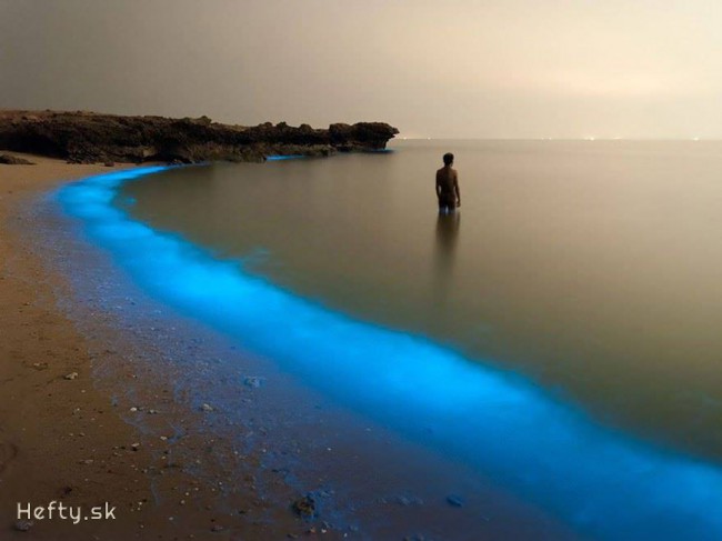 bioluminiscencia - ostrov Larak  - Ir&aacute;n