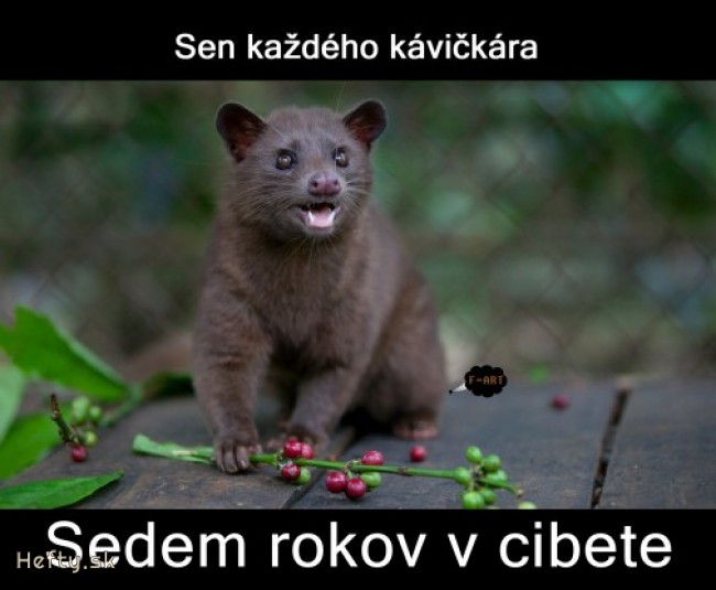 ocení každý kafíčkový kajšmentke