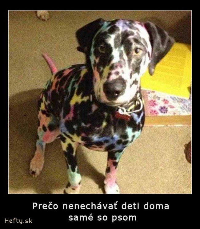 pes d&uacute;hov&yacute;