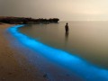 bioluminiscencia - ostrov Larak  - Ir&aacute;n