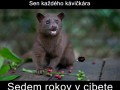 ocení každý kafíčkový kajšmentke