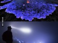 modrý vulkán - Kawah Ijen Indonézia 
