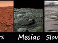 slovenská realita